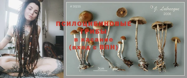 прущие крисы Богородск