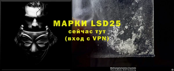 ECSTASY Белокуриха