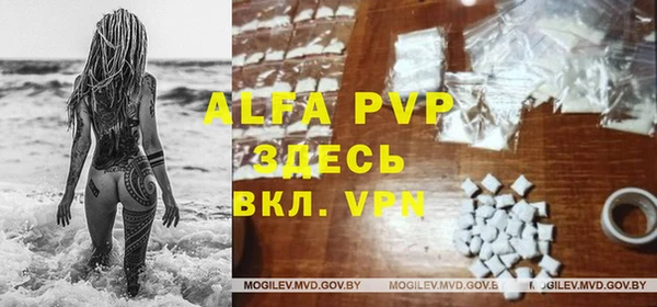 хмурый Богданович